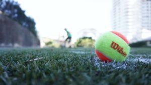 pelota de pádel sobre césped art